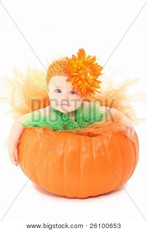 สาวน่ารักเด็กในการกำหนดในฟักทองตูสีส้ม และสีเขียวบนพื้นหลังสีขาว