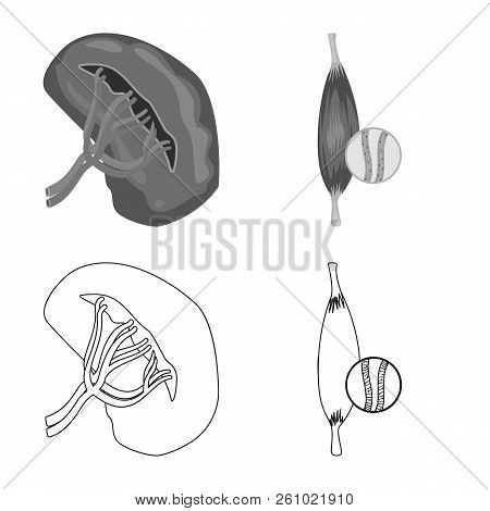 Vector Illustration Of Body And Human Sign. Set Of Body And Medical Stock Vector Illustration.