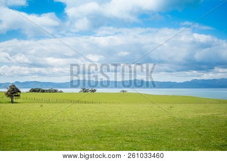 Green Pastures Overlooking The Ocean And The Coromandel Peninsula
