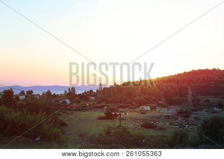 A Herd Of Sheep On A Hill. In The Rays Of Sunset. Sheep Come Down From The Mountain. Hills Of Turkey