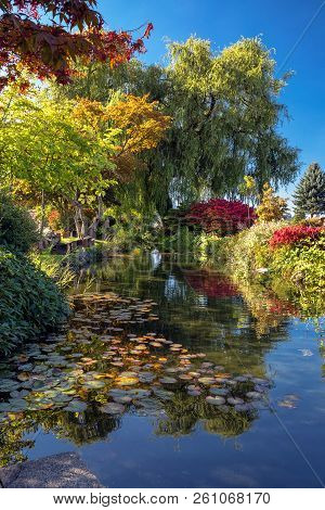 A Beautiful Autumn Day, An Ornamental Pond In The City Cemetery, A Reflection Of Colorful Trees And 