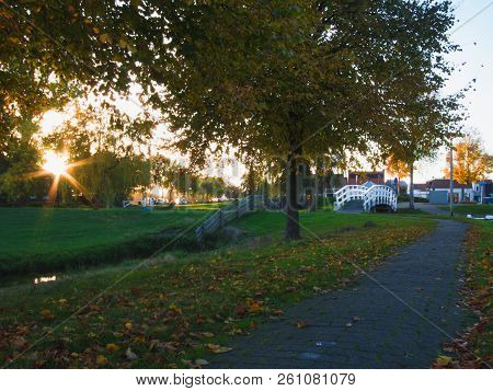 Fall Of The Leaf In Oudega, Friesland Province In Netherlands Countryside, Europe.