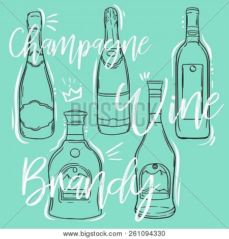 Different Sorts Of Alchogol In Bottles , Set Of Sketch Style Vector Illustration