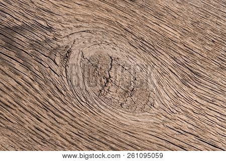 Wood Texture Of Brushed Pine Boards With Knots. Abstract Background With Wood Pattern.