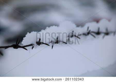 Barbed Wire Fence On Winter Time Backgruond White Snow