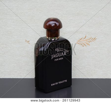 Jaguarfor Men, Eau De Toilette, Large Perfume Bottle In Front Of The Satin Wallcovering Elysee
Kasse