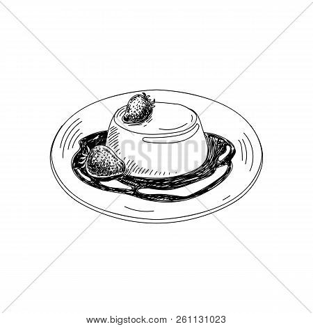 Vector Hand Drawn Panna Cotta. Dishes Of Italian Cuisine. Detailed Retro Style Illustration. Vintage