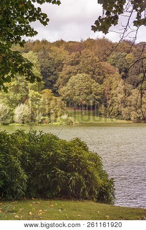 Autumn In The Park, Vibrant Colour, Beautiful Wiev.