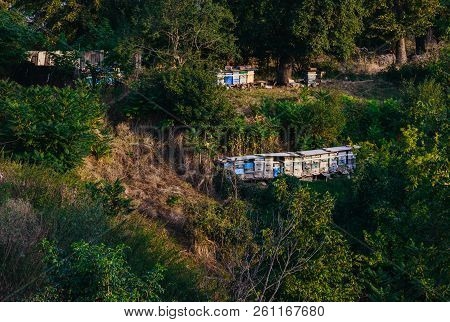 Apiary And A Hives On A Hill - A View From Afar