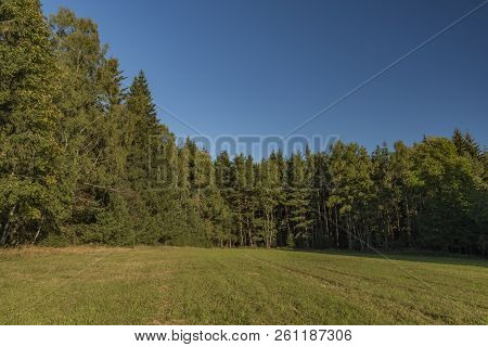 Meadows And Forest In Sumava National Park In South Of Bohemia