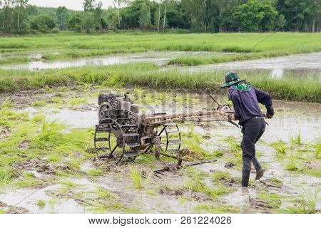 Plows Machine - Farmer Using Walking Tractor Plowing In Rice Field To Prepare The Area To Grow Rice.
