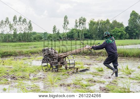 Plows Machine - Farmer Using Walking Tractor Plowing In Rice Field To Prepare The Area To Grow Rice.