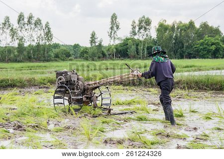 Plows Machine - Farmer Using Walking Tractor Plowing In Rice Field To Prepare The Area To Grow Rice.