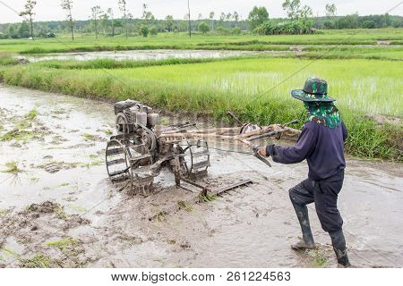 Plows Machine - Farmer Using Walking Tractor Plowing In Rice Field To Prepare The Area To Grow Rice.