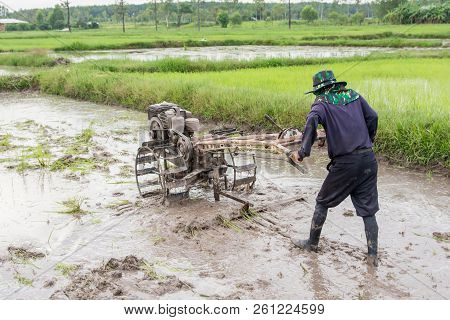 Plows Machine - Farmer Using Walking Tractor Plowing In Rice Field To Prepare The Area To Grow Rice.