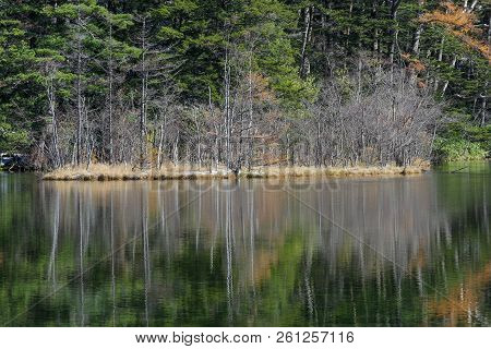 Natural Green Leaves Tree Forest With Reflection On Myojin Pond At Japanese Alps Kamikochi Nagano.