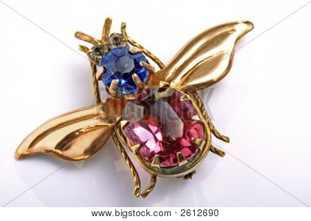 Brooch, Jewelry