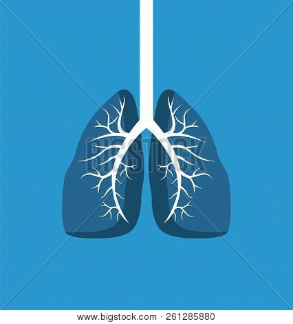 Lungs Image Banner Isolated On Blue Background, Vector Illustration Of Human Organ With White Windpi