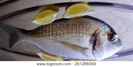 Fresh Golden Fish For Roasting And Cooking