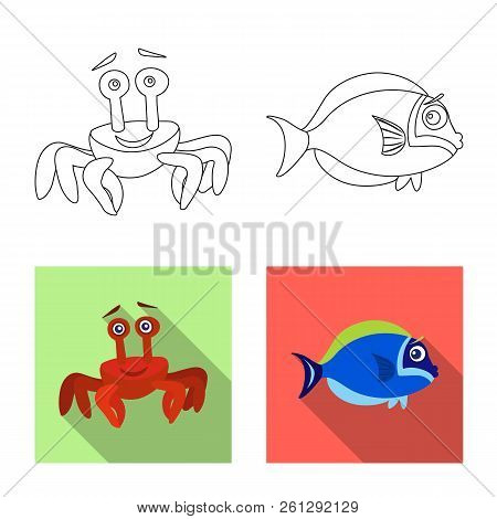 Isolated Object Of Sea And Animal Logo. Collection Of Sea And Marine Stock Vector Illustration.