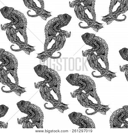 Black And White Watercolor Chameleon Seamless Pattern With Butterflies, Tropical Flowers, Twigs And 