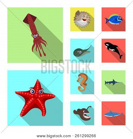 Vector Design Of Sea And Animal Sign. Set Of Sea And Marine Stock Vector Illustration.