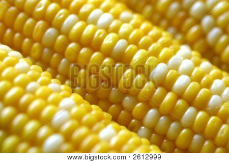 Corn On The Cob