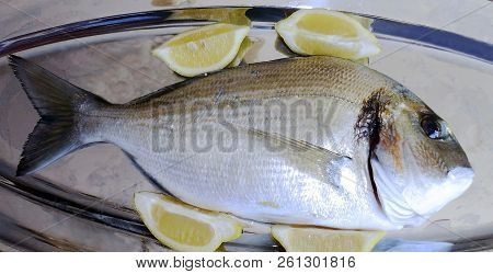Fresh Golden Fish For Roasting And Cooking
