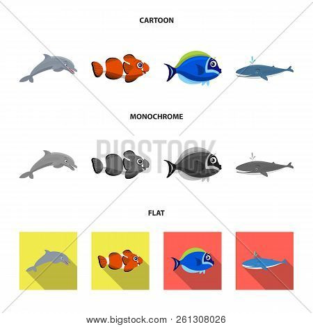 Vector Illustration Of Sea And Animal Logo. Collection Of Sea And Marine Stock Vector Illustration.