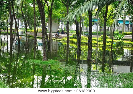 BANGKOK, THAILAND - 05 NOVEMBER: Zware overstromingen van moesson regen in Ayutthaya en Noord Thailand een