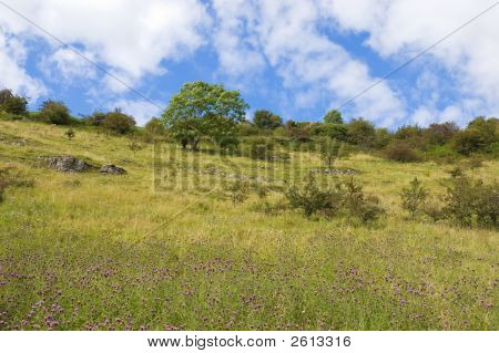 Paesaggio rurale campagna inglese