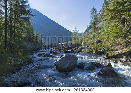The Shawla River Flows From The Great (lower) Shavlinsky Lake Through A Log-fall. Sunny Summer Morni