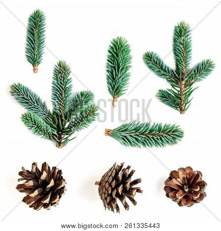 Fir Branches And Pine Cones Isolated On White Background. Collection Of Confier Tree Branch.  Christ