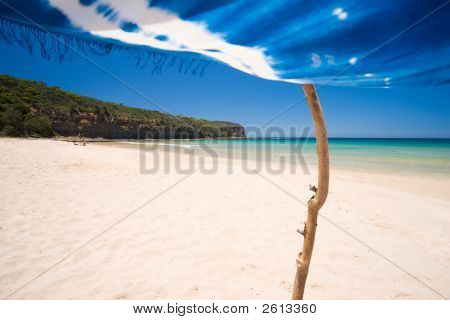 Beach Paradise