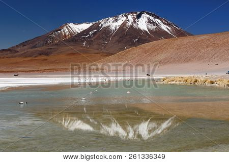 Bolivia - The Most Beautifull Andes In South America. The Surreal Landscape Is Nearly Treeless, Punc