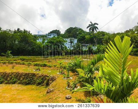 Green Natural Park Landscape Scenery At Ys Falls, Jamaica, Caribbean Island