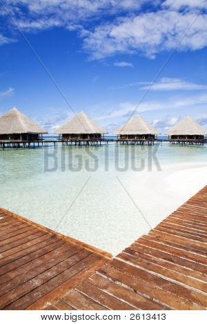 Tropical Beach