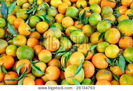 Mandarin frugter