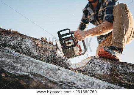 Strong Professional Lumberman Use Chainsaw On Sawmill. Lumberjack Sawing Big Tree