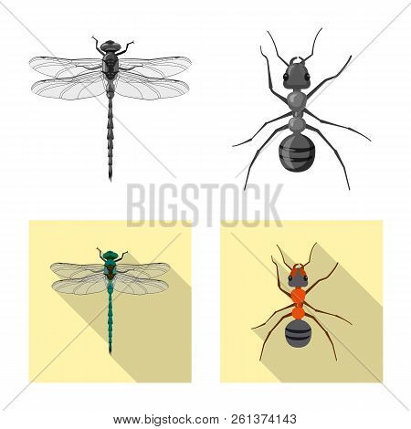 Isolated Object Of Insect And Fly Logo. Collection Of Insect And Element Stock Vector Illustration.