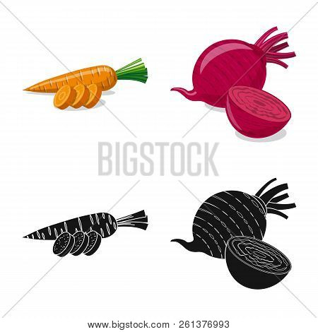Vector Design Of Vegetable And Fruit Icon. Set Of Vegetable And Vegetarian Vector Icon For Stock.