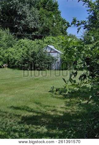 Old Shed In A Large Yard Partially Blocked With Plant Over Growth