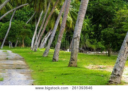 The Beach Bang Boet And Green Nature At Chumphon Province Thailand Is Famous For Travel