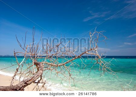 Thai havet: White Sand Beach og blå himmel