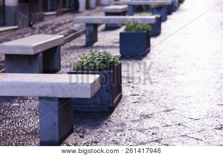 Benches Made Of Concrete On The Street After A Rain At Sunset