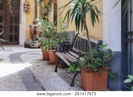 Bench And Plants In Tubs In The Courtyard Of The House