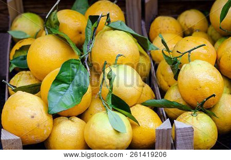 Oranges In The Fruit Market, Catania, Sicily