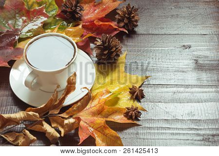 Autumn Still Life With Cup Of Coffee, Cone, Cinnamon On Wooden Board. Copy Space. Top View.