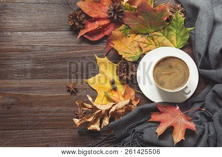 Autumn Still Life With Cup Of Coffee, Cone, Cinnamon, Warm Scarf On Wooden Board. Copy Space. Top Vi
