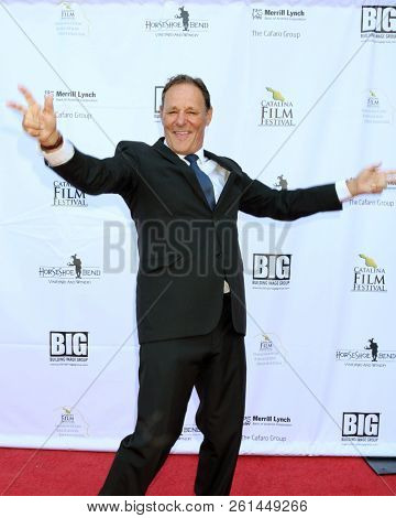 AVALON - SEP 29:  Chris Mulkey at the Catalina Film Festival - Saturday Red Carpet at the Casino on September 29, 2018 in Avalon, CA